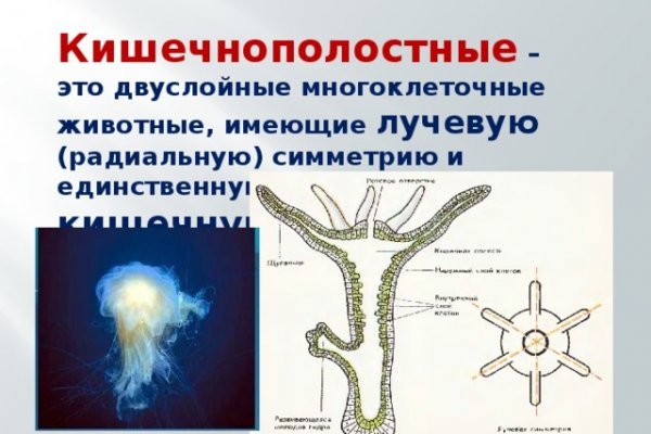 Как зайти на кракен через тор